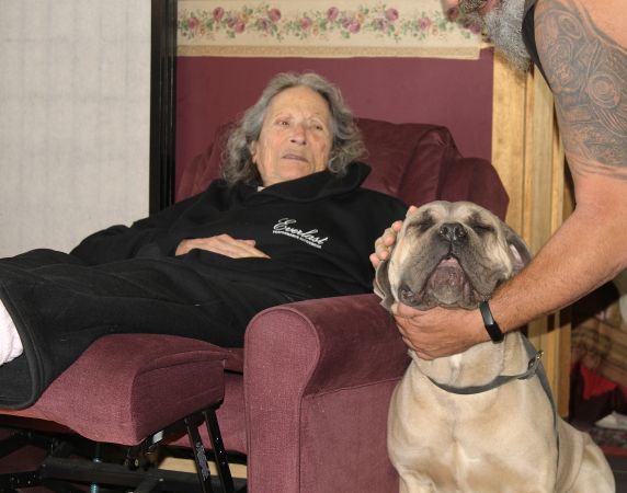 DDDawgs Tocco Dorato Di Midas